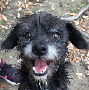 Meet your Posher, Breanna